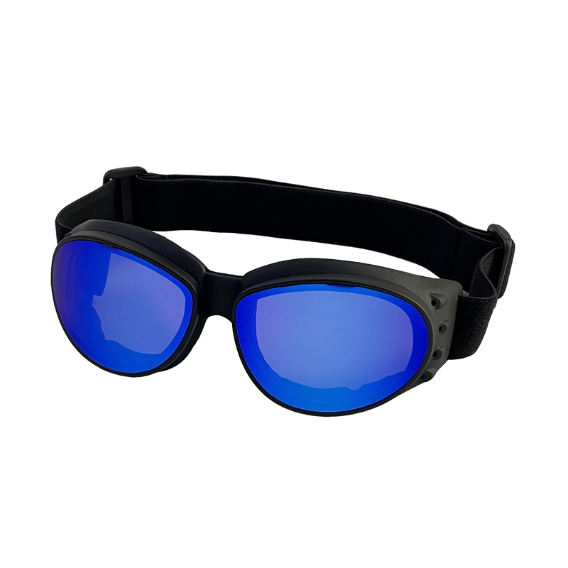 Motorcycle Goggles