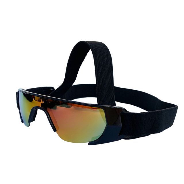 Hot Sale Custom Anti Dust Windproof UV Protection Pet Sunglasses